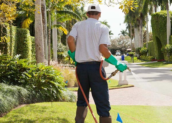 About Washington NE Pest Control
